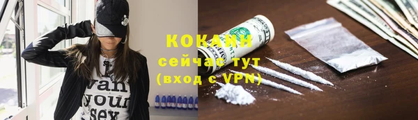 шишки Вязники