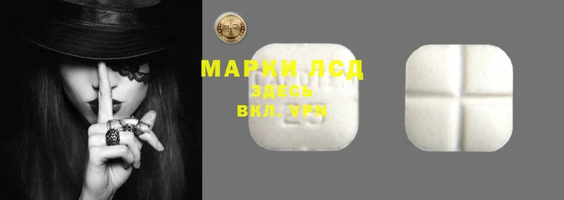 шишки Вязьма