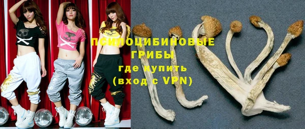 шишки Вязники