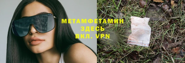 сатива Вяземский